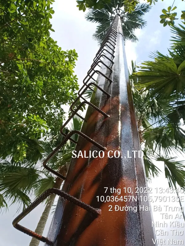 Sản phẩm z3817562045223_789a1875c8ad7c3ccf92218cd68dab25 — Trụ Đèn Chiếu Sáng SALICO - Công Ty TNHH Đầu Tư Và Phát Triển SALICO — MST 0314444951