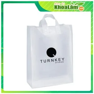 Sản phẩm tui xach quai xach tu huy 300x300 — Công Ty TNHH SX TM Bao Bì Khoa Lâm — MST 0314453032