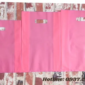 Sản phẩm Túi hột xoài hồng 300x300 — Công Ty TNHH SX TM Bao Bì Khoa Lâm — MST 0314453032