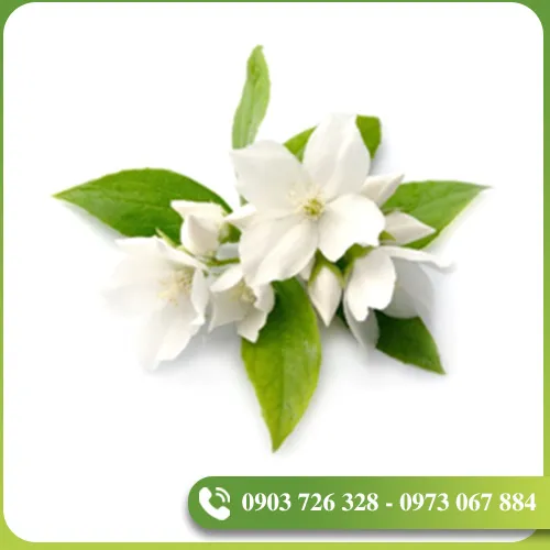 Sản phẩm tinh dau (11) — EVODIA Việt Nam - Công Ty TNHH EVODIA Việt Nam — MST 0314467349