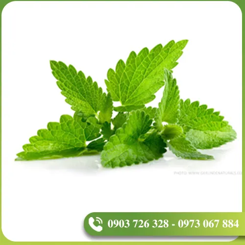 Sản phẩm tinh dau (12) — EVODIA Việt Nam - Công Ty TNHH EVODIA Việt Nam — MST 0314467349