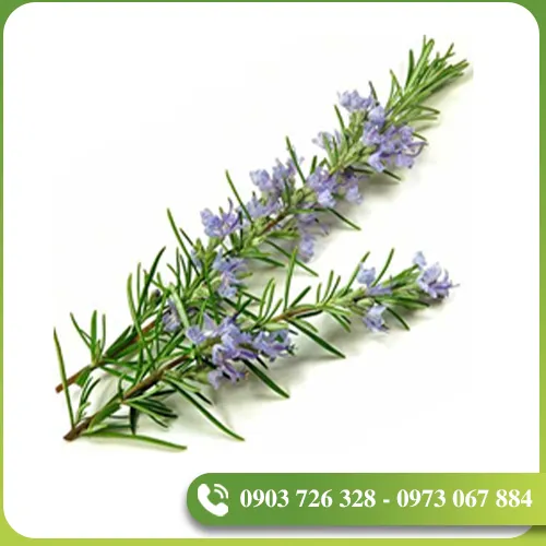 Sản phẩm tinh dau (2) — EVODIA Việt Nam - Công Ty TNHH EVODIA Việt Nam — MST 0314467349