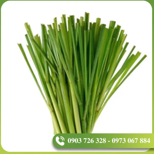 Sản phẩm tinh dau (7) — EVODIA Việt Nam - Công Ty TNHH EVODIA Việt Nam — MST 0314467349