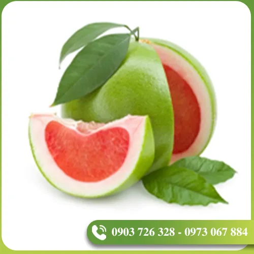Sản phẩm tinh dau (8) — EVODIA Việt Nam - Công Ty TNHH EVODIA Việt Nam — MST 0314467349