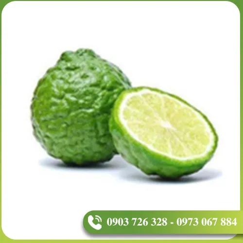 Sản phẩm tinh dau (9) — EVODIA Việt Nam - Công Ty TNHH EVODIA Việt Nam — MST 0314467349