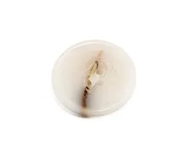 Sản phẩm nut gia sung1606883522 — Nút Áo N P - Công Ty TNHH Sản Xuất Thương Mại Dịch Vụ Nút N P — MST 0314491197