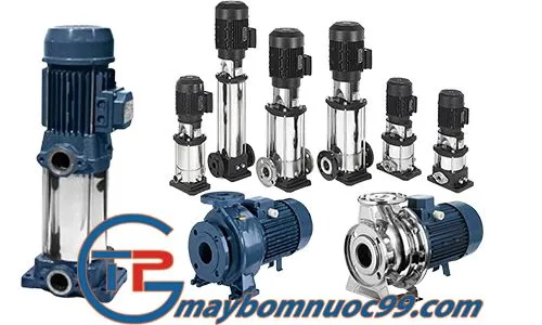 Sản phẩm Bom ly tam cong nghiep ebara 500x300 — Máy Bơm Thuận Phú - Công Ty TNHH Thuận Phú Group — MST 0314504921