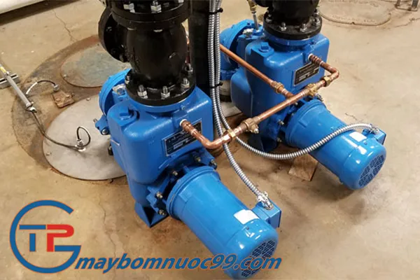 Sản phẩm may bom nuoc tu moi 1 — Máy Bơm Thuận Phú - Công Ty TNHH Thuận Phú Group — MST 0314504921