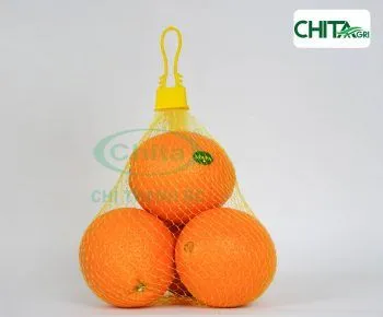 Sản phẩm DSC02584 350x290 — Túi Lưới Chí Thành BC - Công Ty TNHH Sản Xuất Thương Mại Nhựa Chí Thành BC — MST 0314507055