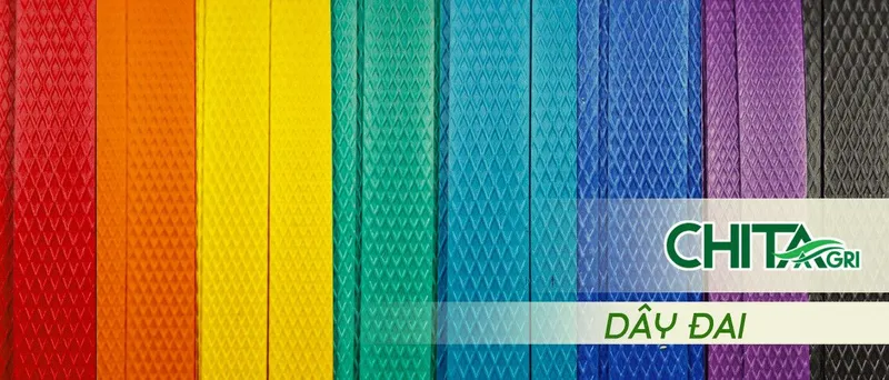 Sản phẩm Day dai dai kien hang — Túi Lưới Chí Thành BC - Công Ty TNHH Sản Xuất Thương Mại Nhựa Chí Thành BC — MST 0314507055