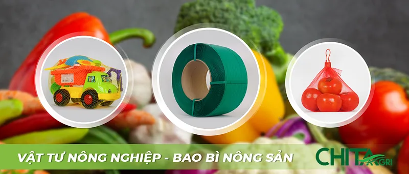 Sản phẩm ChiThanhBC day dai tui luoi — Túi Lưới Chí Thành BC - Công Ty TNHH Sản Xuất Thương Mại Nhựa Chí Thành BC — MST 0314507055