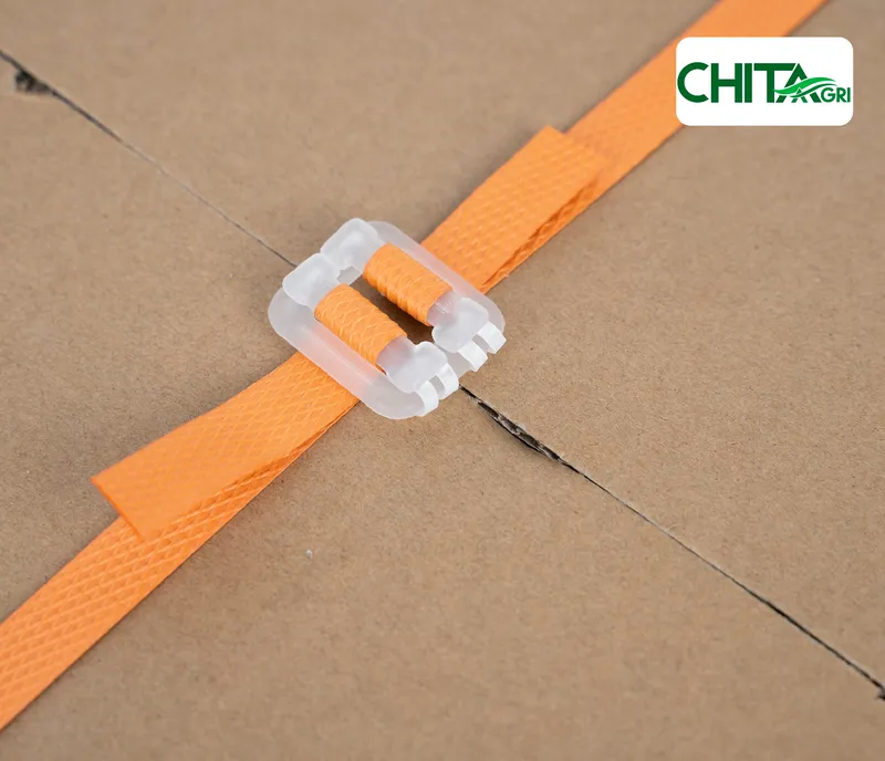 Sản phẩm chitaagri bo nhua day cam — Túi Lưới Chí Thành BC - Công Ty TNHH Sản Xuất Thương Mại Nhựa Chí Thành BC — MST 0314507055