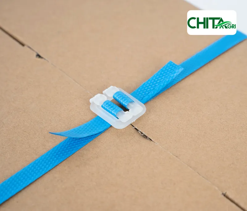 Sản phẩm chitaagri bo nhua day duong — Túi Lưới Chí Thành BC - Công Ty TNHH Sản Xuất Thương Mại Nhựa Chí Thành BC — MST 0314507055