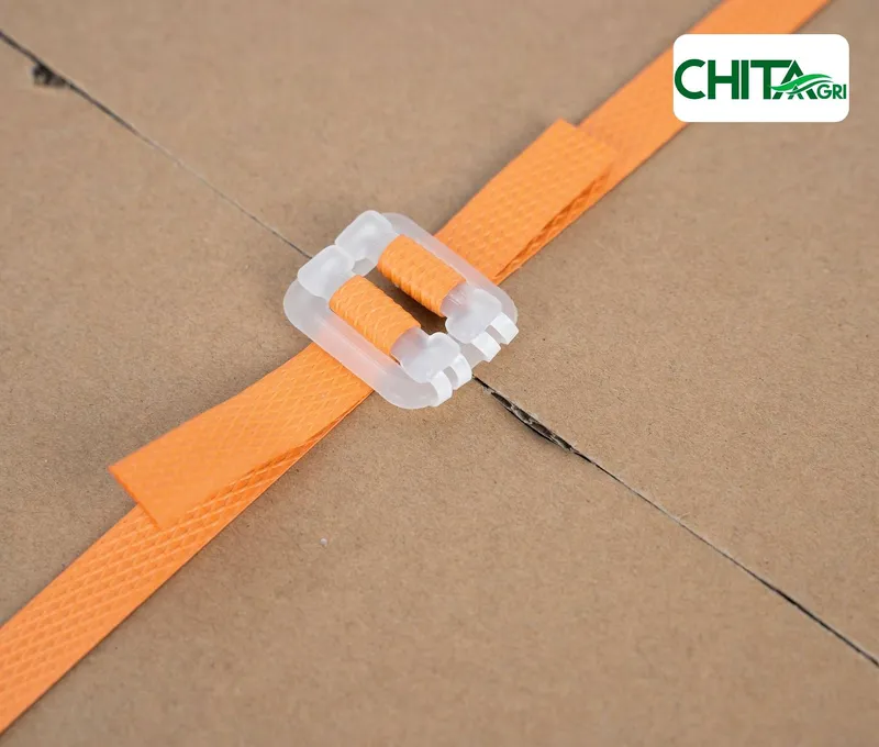 Sản phẩm chitaagri bo nhua day mau cam — Túi Lưới Chí Thành BC - Công Ty TNHH Sản Xuất Thương Mại Nhựa Chí Thành BC — MST 0314507055