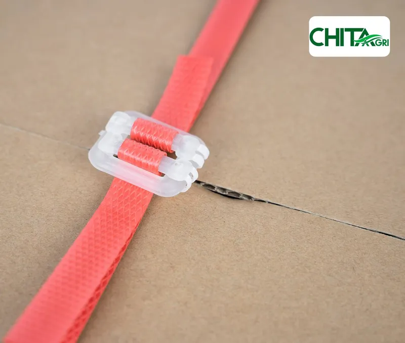 Sản phẩm chitaagri bo nhua day mau do — Túi Lưới Chí Thành BC - Công Ty TNHH Sản Xuất Thương Mại Nhựa Chí Thành BC — MST 0314507055