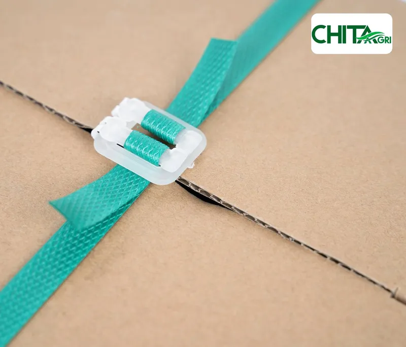 Sản phẩm chitaagri bo nhua day mau la — Túi Lưới Chí Thành BC - Công Ty TNHH Sản Xuất Thương Mại Nhựa Chí Thành BC — MST 0314507055
