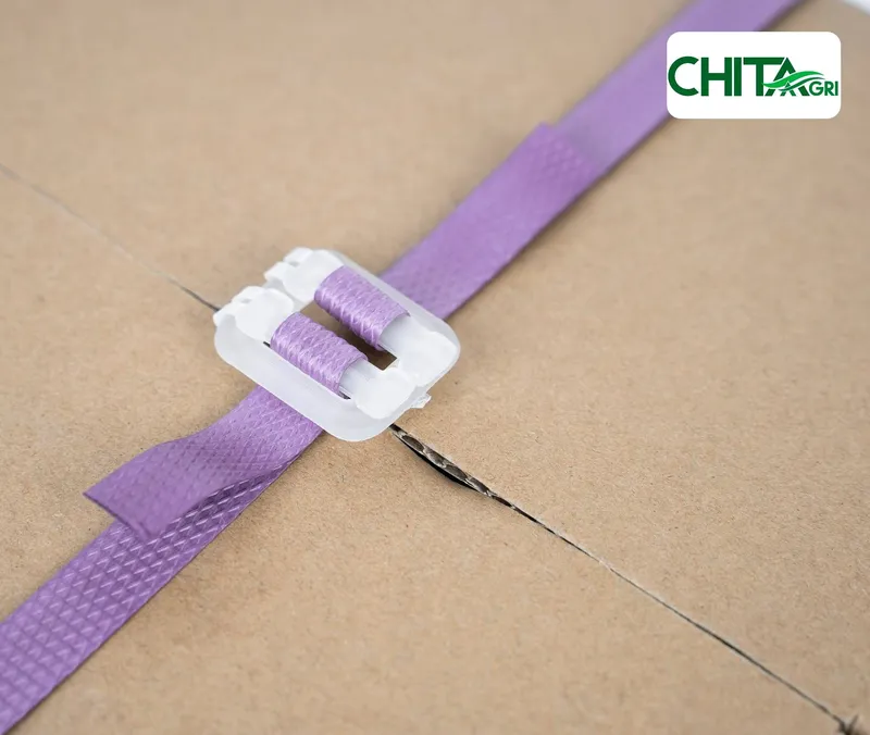 Sản phẩm chitaagri bo nhua day mau tim — Túi Lưới Chí Thành BC - Công Ty TNHH Sản Xuất Thương Mại Nhựa Chí Thành BC — MST 0314507055