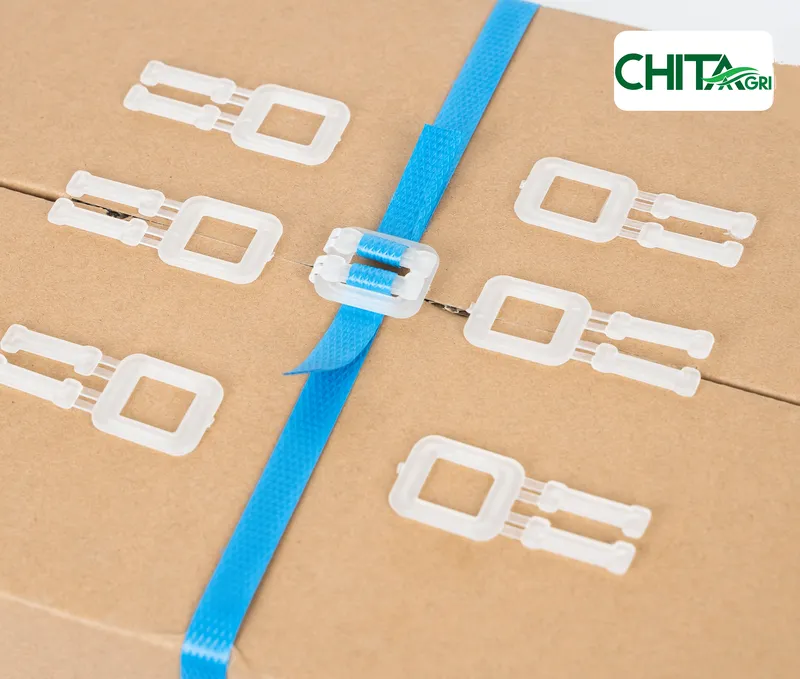 Sản phẩm chitaagri bo nhuas day duong — Túi Lưới Chí Thành BC - Công Ty TNHH Sản Xuất Thương Mại Nhựa Chí Thành BC — MST 0314507055