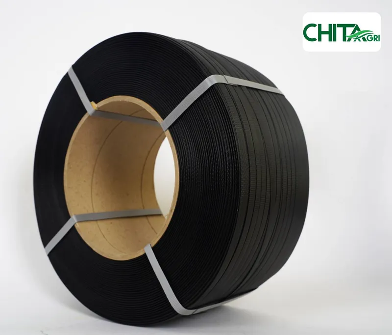 Sản phẩm chitaagri day dai pp mau den — Túi Lưới Chí Thành BC - Công Ty TNHH Sản Xuất Thương Mại Nhựa Chí Thành BC — MST 0314507055