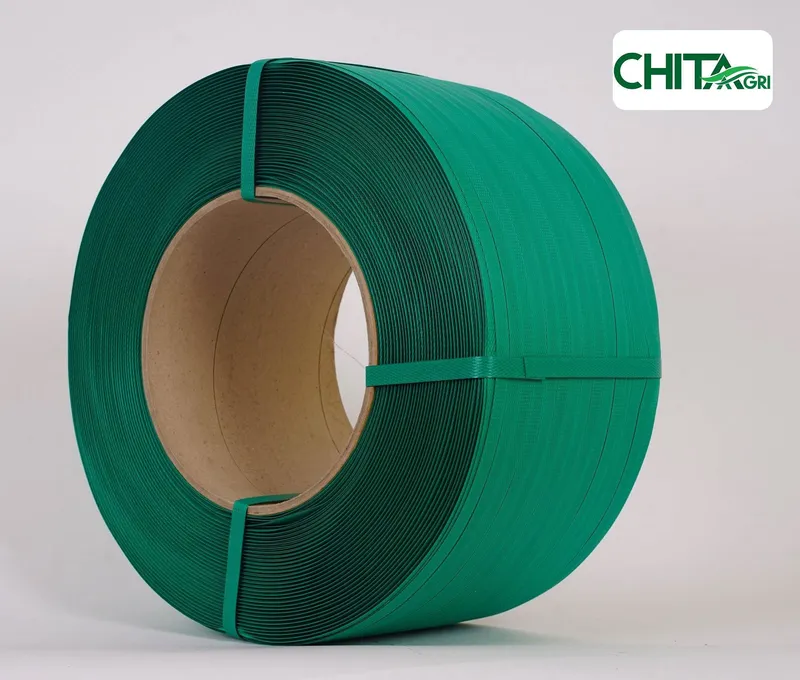 Sản phẩm chitaagri day dai pp mau la — Túi Lưới Chí Thành BC - Công Ty TNHH Sản Xuất Thương Mại Nhựa Chí Thành BC — MST 0314507055