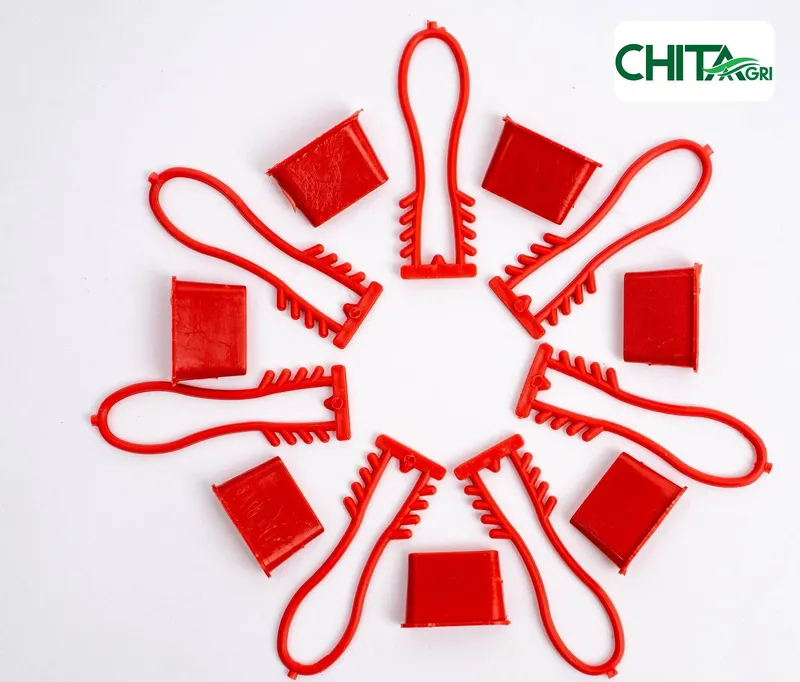 Sản phẩm chitaagri khoa tui luoi mau do — Túi Lưới Chí Thành BC - Công Ty TNHH Sản Xuất Thương Mại Nhựa Chí Thành BC — MST 0314507055