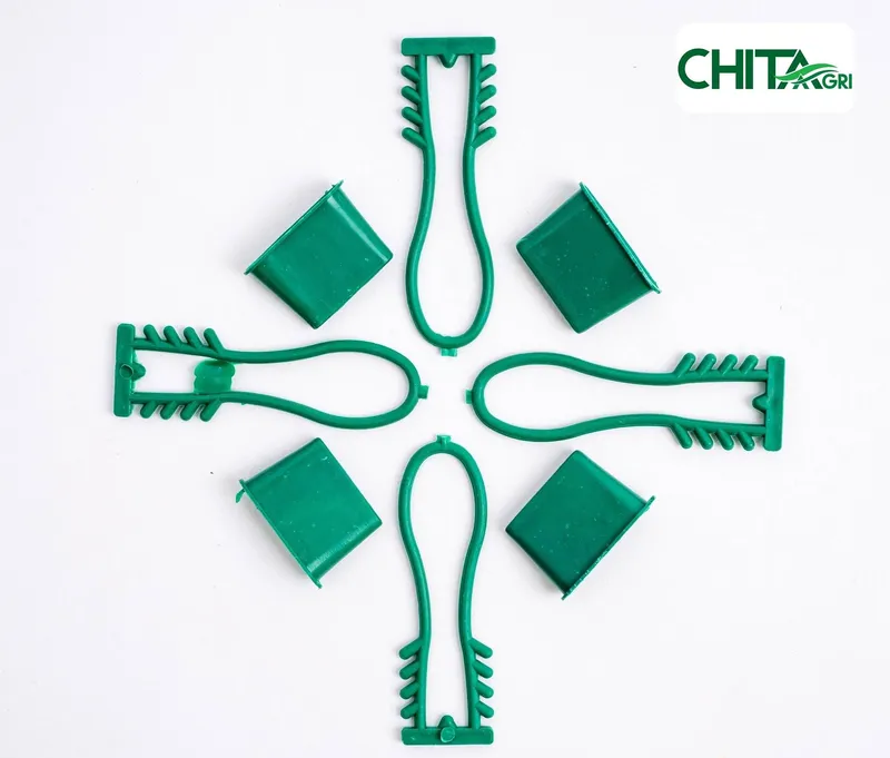 Sản phẩm chitaagri khoa tui luoi mau la — Túi Lưới Chí Thành BC - Công Ty TNHH Sản Xuất Thương Mại Nhựa Chí Thành BC — MST 0314507055
