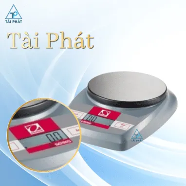 Sản phẩm Anh chup Man hinh 2025 03 01 luc 08.59.54 382x382 — Công Ty TNHH Sản Xuất Thương Mại Dịch Vụ Cân Điện Tử Tự Động Hóa Tài Phát — MST 0314508362