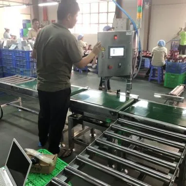 Sản phẩm h3 1 382x382 — Công Ty TNHH Sản Xuất Thương Mại Dịch Vụ Cân Điện Tử Tự Động Hóa Tài Phát — MST 0314508362
