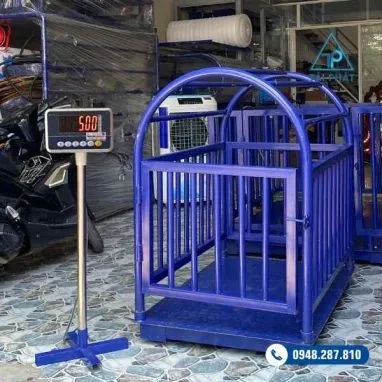 Sản phẩm CAN TINH GIA 600 x 600 px 382x382 — Công Ty TNHH Sản Xuất Thương Mại Dịch Vụ Cân Điện Tử Tự Động Hóa Tài Phát — MST 0314508362