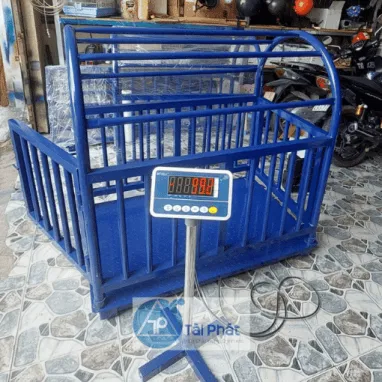 Sản phẩm Can Heo Dau T9_Chup_Dung_01 649 382x382 — Công Ty TNHH Sản Xuất Thương Mại Dịch Vụ Cân Điện Tử Tự Động Hóa Tài Phát — MST 0314508362