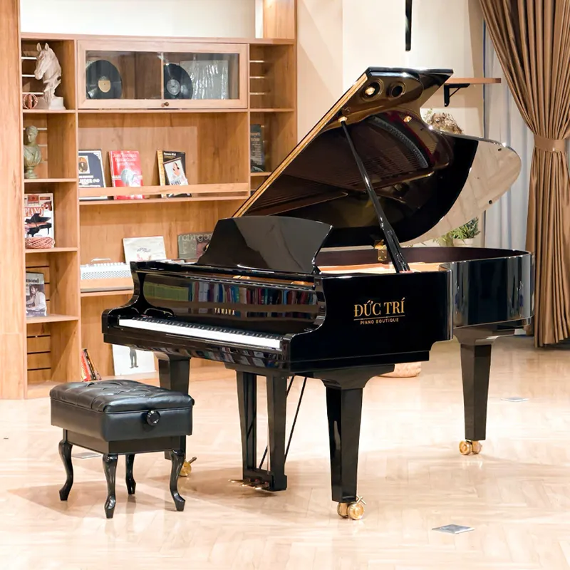 Sản phẩm Tradition Piano — Nhạc Cụ Đức Trí - Công Ty TNHH Âm Nhạc Đức Trí — MST 0314524702