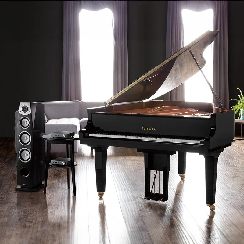 Sản phẩm piano Disklavier Edition — Nhạc Cụ Đức Trí - Công Ty TNHH Âm Nhạc Đức Trí — MST 0314524702