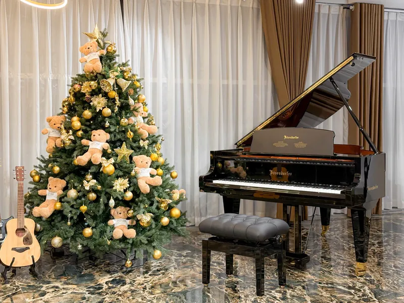 Sản phẩm Duc Tri Piano Boutique — Nhạc Cụ Đức Trí - Công Ty TNHH Âm Nhạc Đức Trí — MST 0314524702