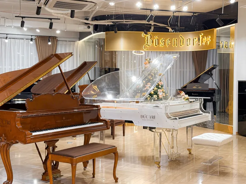 Sản phẩm Piano Boutique Duc Tri — Nhạc Cụ Đức Trí - Công Ty TNHH Âm Nhạc Đức Trí — MST 0314524702