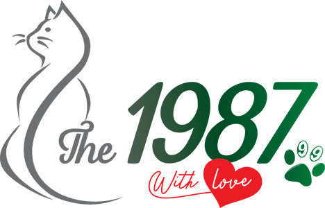 Logo Chăn Ga Gối Đệm The 1987 - Công Ty TNHH SX TM DV Điểm Trân