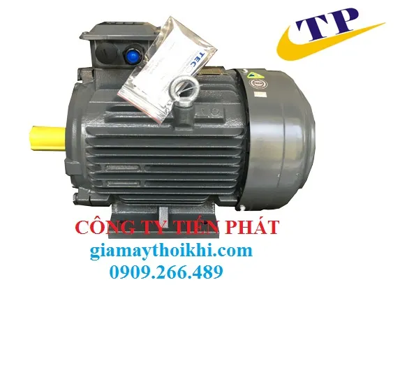 Sản phẩm 201607221728_motor teco aesv — Công Ty TNHH TM DV Cơ Điện Tiến Phát — MST 0314556246
