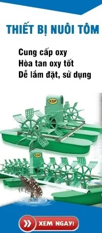 Sản phẩm bien tan_1_3 — Công Ty TNHH TM DV Cơ Điện Tiến Phát — MST 0314556246