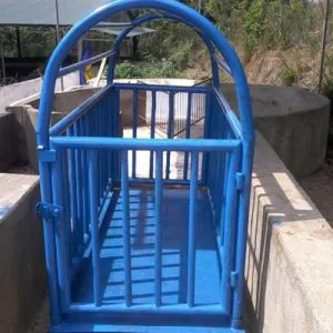 Sản phẩm Can heo dien tu 300x300 — Công Ty TNHH Cân Điện Tử Lộc Phát — MST 0314558010