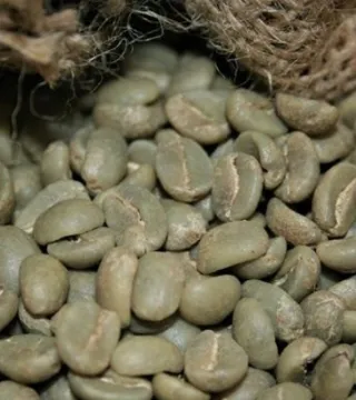 Sản phẩm coffee 9017 — Nông Sản SUNRISE INS - Công Ty TNHH SUNRISE INS — MST 0314576154