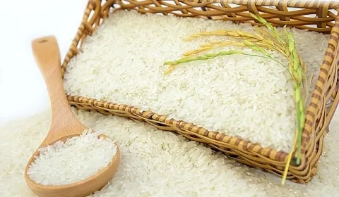 Sản phẩm 0715gialuagaohomnay 8636 — Nông Sản SUNRISE INS - Công Ty TNHH SUNRISE INS — MST 0314576154