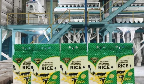 Sản phẩm 4530723038925882228992228291976285697998386n 4598 — Nông Sản SUNRISE INS - Công Ty TNHH SUNRISE INS — MST 0314576154