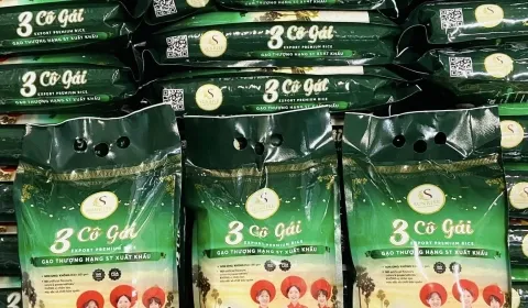 Sản phẩm 466377231973506284807415319011974840742567n 2762 — Nông Sản SUNRISE INS - Công Ty TNHH SUNRISE INS — MST 0314576154