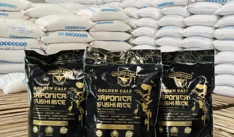 Sản phẩm 50391224811240614264185662646658986017434661n 1409 — Nông Sản SUNRISE INS - Công Ty TNHH SUNRISE INS — MST 0314576154