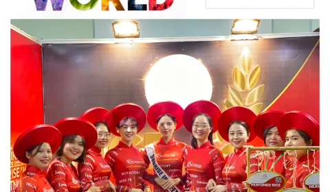 Sản phẩm 5319788288787711 8880 — Nông Sản SUNRISE INS - Công Ty TNHH SUNRISE INS — MST 0314576154