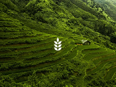 Sản phẩm web icons 1 farm 5132 — Nông Sản SUNRISE INS - Công Ty TNHH SUNRISE INS — MST 0314576154