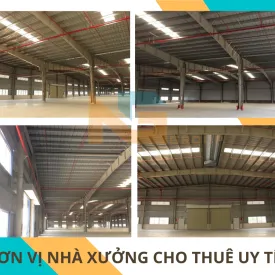 Sản phẩm 1 8965 — Công Ty CP Xây Dựng Và Phát Triển Thế Hệ Mới — MST 0314580168