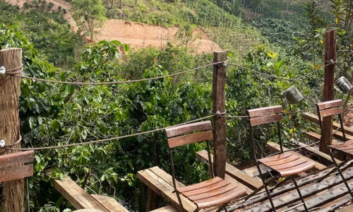 Sản phẩm Doi Chu Tuoc 11000m2 5 500x300 — Công Ty TNHH MOVE LAND — MST 0314584444