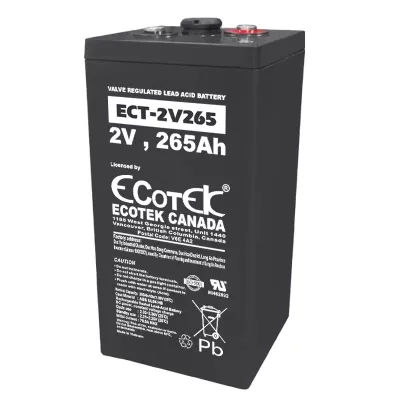 Sản phẩm ac quy ecotek ect2v265 2v265ah — Công Ty TNHH Công Nghệ Tin Học Trần Nguyễn — MST 0314593047