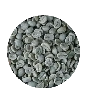 Sản phẩm vno arabica green bean p300 01 — Organic Coffee Bean - Công Ty TNHH Việt Nam Organic Coffee Bean — MST 0314596898