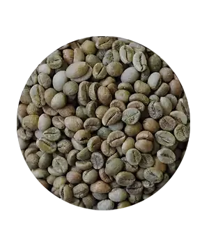 Sản phẩm vno robusta green bean p300 01 — Organic Coffee Bean - Công Ty TNHH Việt Nam Organic Coffee Bean — MST 0314596898